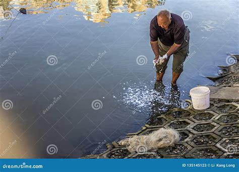 秦淮河有什麼魚